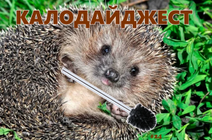Калодайджест 24.png